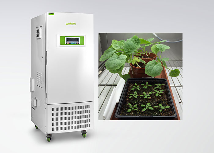 植物ティッシュ文化特別なタイプのためのセリウムの湿気制御植物成長の部屋
