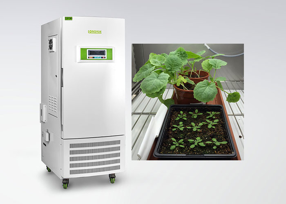 植物ティッシュ文化特別なタイプのためのセリウムの湿気制御植物成長の部屋