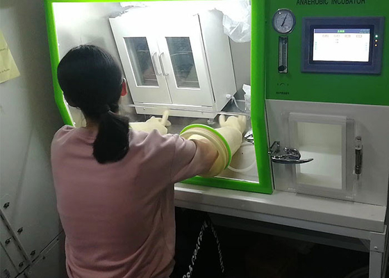 実験室の細菌文化LAI-3Tのための嫌気性の定温器の環境部屋